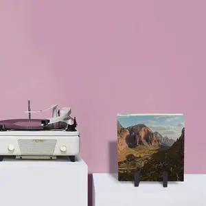 Record Stand Tabletop Metal Record Vinyl Holder Vinyl Record Storage Album Storage Rack for CD/LP Vinyl Record Supplie Record Stand Tabletop Metal Record Vinyl Holder Vinyl Record Storage Album Storage Rack for CD/LP Vinyl Record Supplie