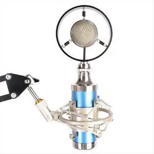 Professional Condenser Wired Vintage Recording Studio Microphone for Live Broadcast White Professional Condenser Wired Vintage Recording Studio Microphone for Live Broadcast White