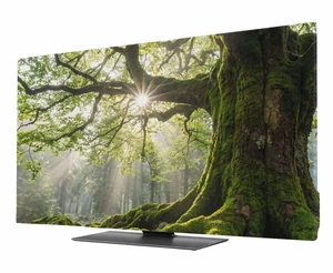 DecorLovee Ancient Tree TV Cover Indoor Elastic TVs Screen Protector, Zen Mystical Green Lush Forest Nature Monitor Covers Inside Dust Proof Slipcover, 65 Inch TV Cover for Flat or Curved TVs DecorLovee Ancient Tree TV Cover Indoor Elastic TVs Screen Protector, Zen Mystical Green Lush Forest Nature Monitor Covers Inside Dust Proof Slipcover, 65 Inch TV Cover for Flat or Curved TVs