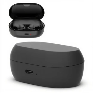 Diyeeni Replacement Earbud Charging Case for 7 Pro, 7 Active 600mAh USB C Charging Box with LED Indicator Light, Black, Compatible Wired Charging Case Diyeeni Replacement Earbud Charging Case for 7 Pro, 7 Active 600mAh USB C Charging Box with LED Indicator Light, Black, Compatible Wired Charging Case