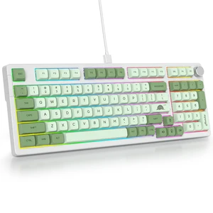 Owpkeenthy 96% Fullsize Mechanical Keyboard with Numpad Owpkeenthy 96% Fullsize Mechanical Keyboard with Numpad