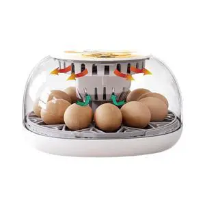 12 Egg Capacity Incubator Humidity Control System Poultry Brooder 26*14*26cm 12 Egg Incubator Transparent Thermal Cover 12 Egg Capacity Incubator Humidity Control System Poultry Brooder 26*14*26cm 12 Egg Incubator Transparent Thermal Cover