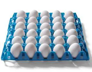 Reusable Egg Tray Plastic Egg Crates Holds 30 Egg Flats for Home Chicken Farmers, Stackable Egg Cartons are Great for Storing, Sorting, and Shipping Eggs (Color May Vary) (20 Pack) Reusable Egg Tray Plastic Egg Crates Holds 30 Egg Flats for Home Chicken Farmers, Stackable Egg Cartons are Great for Storing, Sorting, and Shipping Eggs (Color May Vary) (20 Pack)