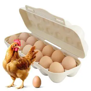 Large Capacity Outdoor Egg Holder, Plastic Egg Fresh Carrier Egg Storage Container Organizer Box for Fridge, Stackable Camping Egg Holder for Home Picnic Hiking Travel, 12 Eggs Tray Beige Large Capacity Outdoor Egg Holder, Plastic Egg Fresh Carrier Egg Storage Container Organizer Box for Fridge, Stackable Camping Egg Holder for Home Picnic Hiking Travel, 12 Eggs Tray Beige