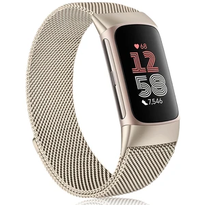 for Fitbit Charge 6 Bands Women Men, Stainless Steel Metal Mesh Loop Adjustable Magnetic Wristband Replacement Straps Compatible with Fitbit Charge 6 Fitness Tracker for Fitbit Charge 6 Bands Women Men, Stainless Steel Metal Mesh Loop Adjustable Magnetic Wristband Replacement Straps Compatible with Fitbit Charge 6 Fitness Tracker