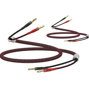 HiFi OFC Pure Copper Speaker Cables, Red-Black, 10 feet/13AWG for Audiophiles HiFi OFC Pure Copper Speaker Cables, Red-Black, 10 feet/13AWG for Audiophiles