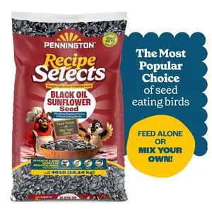 Pennington Recipe Selects Black Oil Sunflower Seed Dry Wild Bird Feed - Bird Food, 40 lb. Bag, 1 Pack Pennington Recipe Selects Black Oil Sunflower Seed Dry Wild Bird Feed - Bird Food, 40 lb. Bag, 1 Pack