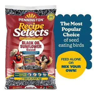 Pennington Recipe Selects Black Oil Sunflower Seed Dry Wild Bird Feed, Bird Food, 20 lb. Bag, 1 Pack Pennington Recipe Selects Black Oil Sunflower Seed Dry Wild Bird Feed, Bird Food, 20 lb. Bag, 1 Pack
