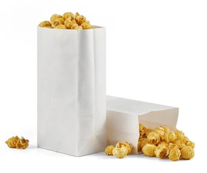 50Pcs Mini Size 1LB White Kraft Paper Grocery Bags 3.5x2.2x7Inches for Cookies Candy Craft 50Pcs Mini Size 1LB White Kraft Paper Grocery Bags 3.5x2.2x7Inches for Cookies Candy Craft