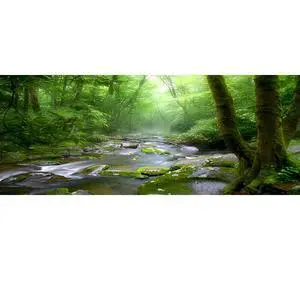 48x18 Inch Rainforest Terrarium Background - Deep Forest Tank Aquarium Background With Sunny Stream Stones, Trees, Grass, Tropical Plants - Durable Polyester 48x18 Inch Rainforest Terrarium Background - Deep Forest Tank Aquarium Background With Sunny Stream Stones, Trees, Grass, Tropical Plants - Durable Polyester