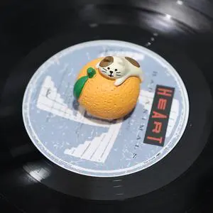Record Player Decor Cartoon Turntable Accessory for Vibration Damping LP | Decoration Turntable Weight Clamp (Style B) Record Player Decor Cartoon Turntable Accessory for Vibration Damping LP | Decoration Turntable Weight Clamp (Style B)