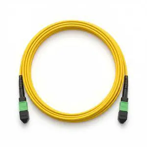 3M MPO Fiber Patch Wire Single Mode 9/125um 12-Core UPC Type B | 40G Optical Cable Female to Female Jumpers Cord Compatible MTP, Length Options: 1m-20m 3M MPO Fiber Patch Wire Single Mode 9/125um 12-Core UPC Type B | 40G Optical Cable Female to Female Jumpers Cord Compatible MTP, Length Options: 1m-20m