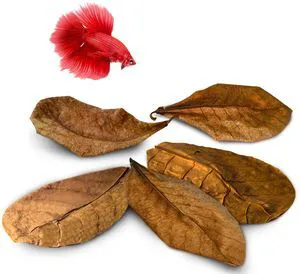 SunGrow Betta Leaves, Indian Almond Leaves SunGrow Betta Leaves, Indian Almond Leaves