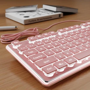 Wired Keyboard with White Backlight Pudding Keycaps, Full Size, Pink Wired Keyboard with White Backlight Pudding Keycaps, Full Size, Pink
