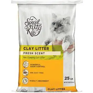 Special Kitty Fresh Scent Non-Clumping Clay Cat Litter, 25 lb Bag, 1 Count Special Kitty Fresh Scent Non-Clumping Clay Cat Litter, 25 lb Bag, 1 Count