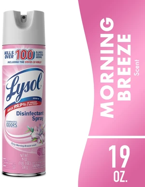 Lysol Disinfectant Bathroom Spray, Sanitizing and Antibacterial, Deodorizer, Early Morning Breeze, 19oz Lysol Disinfectant Bathroom Spray, Sanitizing and Antibacterial, Deodorizer, Early Morning Breeze, 19oz