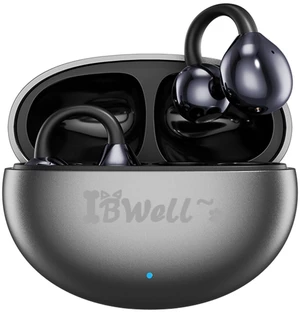 AI Translation Earphones for Real-time Translation of 140 Languages and Accent Recognition, Noise Cancelling Earphones, Wireless Earphones (Black) AI Translation Earphones for Real-time Translation of 140 Languages and Accent Recognition, Noise Cancelling Earphones, Wireless Earphones (Black)