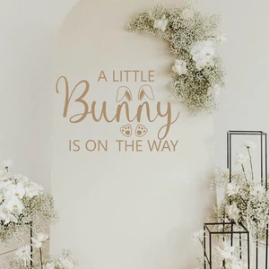 A Little Bunny is On The Way Baby Shower Balloons Arch Decal - Some Bunny Party Background Decal for Spring Easter Rabbit Themed Baby Shower A Little Bunny is On The Way Baby Shower Balloons Arch Decal - Some Bunny Party Background Decal for Spring Easter Rabbit Themed Baby Shower