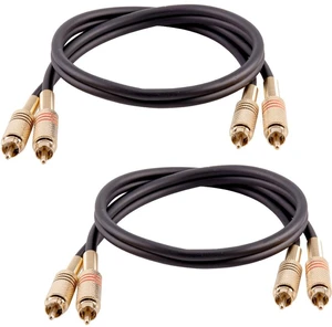 Speakers Premium 2 Foot Dual RCA Male to Dual RCA Male Audio Patch Cables, Pack of 2, Black and Red Color Cables, 2RCA to 2RCA Audio Cord Speakers Premium 2 Foot Dual RCA Male to Dual RCA Male Audio Patch Cables, Pack of 2, Black and Red Color Cables, 2RCA to 2RCA Audio Cord