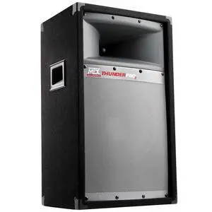 TP1200 Audio ThunderPro II 2-Way Professional Loudspeaker TP1200 Audio ThunderPro II 2-Way Professional Loudspeaker