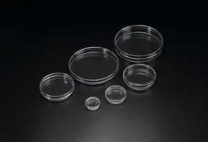 Cell Culture Dish,150x25mm Lab Cell-Culture Petri Plate Dish for Lab Analysis, School Projects, Blood Samples, Bacteria, Plant & Seed Cultivation, PS Cell Culture Dish,150x25mm Lab Cell-Culture Petri Plate Dish for Lab Analysis, School Projects, Blood Samples, Bacteria, Plant & Seed Cultivation, PS