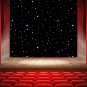 13ft x 13ft LED Stage Backdrop White LED Starry Sky Backdrop Foldable DMX Control LED Star Curtain with Remote Control for Wedding Christmas Party Halloween Stage Show Cloth Background 13ft x 13ft LED Stage Backdrop White LED Starry Sky Backdrop Foldable DMX Control LED Star Curtain with Remote Control for Wedding Christmas Party Halloween Stage Show Cloth Background