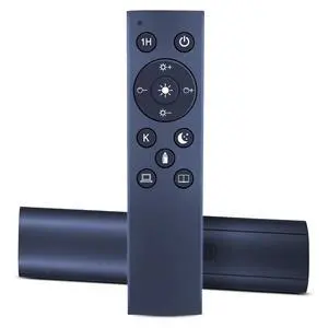 Remote Control for Aisutha/Xinp/Bricosmocon LED Floor Lamp | for Mixinlei/Tigial/Marctronic/PACOVY/AManLife/AUZONIMICS/Mukuxin/BoostArea Seaside village Remote Control for Aisutha/Xinp/Bricosmocon LED Floor Lamp | for Mixinlei/Tigial/Marctronic/PACOVY/AManLife/AUZONIMICS/Mukuxin/BoostArea Seaside village