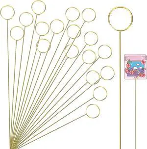 20Pcs Place Card Holder, Metal Floral Place Card Holder, Gold Table Number Holders, Round Shape Flower Pick Clips, Gold Metal Card Picture Holder Pick, Floral Gift Card Holder Clips for Wedding P 20Pcs Place Card Holder, Metal Floral Place Card Holder, Gold Table Number Holders, Round Shape Flower Pick Clips, Gold Metal Card Picture Holder Pick, Floral Gift Card Holder Clips for Wedding P