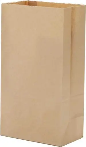 40 Count Brown Grocery Lunch Bag Kraft Paper Bags 4 lb Capacity 40 Count Brown Grocery Lunch Bag Kraft Paper Bags 4 lb Capacity