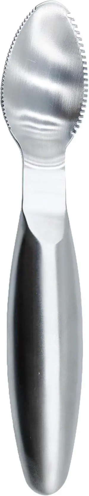 Stainless Steel Grapefruit Spoons with Serrated Edge Serrated Spoon Pumpkin Scraper Pumpkin Core Remover Scoop Stainless Steel Grapefruit Spoons with Serrated Edge Serrated Spoon Pumpkin Scraper Pumpkin Core Remover Scoop