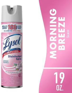 Lysol Disinfectant Spray, Sanitizing and Antibacterial Spray, Deodorizer, Early Morning Breeze, 19 oz Lysol Disinfectant Spray, Sanitizing and Antibacterial Spray, Deodorizer, Early Morning Breeze, 19 oz