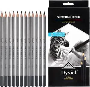 Dyvicl Professional Drawing Sketching Pencil Set - 12 Pieces Drawing Pencils 10B, 8B, 6B, 5B, 4B, 3B, 2B, B, HB, 2H, 4H, 6H Graphite Pencils for Kids, Beginners, Pro Artists Dyvicl Professional Drawing Sketching Pencil Set - 12 Pieces Drawing Pencils 10B, 8B, 6B, 5B, 4B, 3B, 2B, B, HB, 2H, 4H, 6H Graphite Pencils for Kids, Beginners, Pro Artists