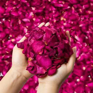 5oz Dried Rose Petals Red Rose Petals for Bath, Soap, Candle Making 5oz Dried Rose Petals Red Rose Petals for Bath, Soap, Candle Making