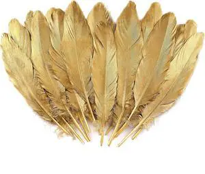 Larryhot Large Gold Goose Feathers Bulk for Crafts,60Pcs,6-8inch Larryhot Large Gold Goose Feathers Bulk for Crafts,60Pcs,6-8inch