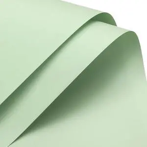 MECCANIXITY 10 Pcs Flower Wrapping Paper 22.8x22.8 Inch Waterproof Florists Wrapping Paper for Florist Bouquet Supplies, DIY Crafts, Gift/Gift Box Packaging Light Green MECCANIXITY 10 Pcs Flower Wrapping Paper 22.8x22.8 Inch Waterproof Florists Wrapping Paper for Florist Bouquet Supplies, DIY Crafts, Gift/Gift Box Packaging Light Green