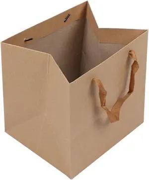 DraDraLee Large Kraft Paper Gift Shopping Handle Bags for Package 13inch DraDraLee Large Kraft Paper Gift Shopping Handle Bags for Package 13inch