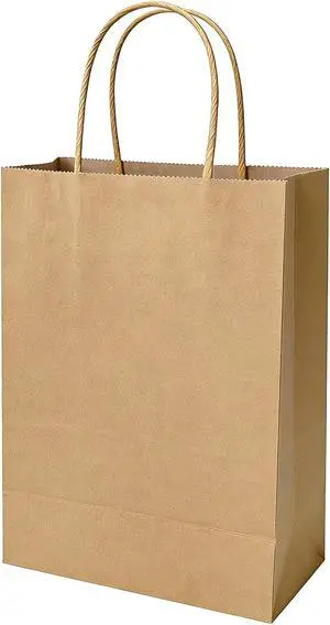 12 Pack Paper Bags with Handles 8 x 4.25 x 10 in, Medium Kraft Paper Bags 12 Pack Paper Bags with Handles 8 x 4.25 x 10 in, Medium Kraft Paper Bags