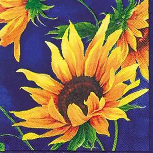 IHR Ideal Home Range Cocktail Napkins Disposable 3-Ply Paper Party Napkin Pack, 5" x 5", Sunshine, 20-Count IHR Ideal Home Range Cocktail Napkins Disposable 3-Ply Paper Party Napkin Pack, 5" x 5", Sunshine, 20-Count