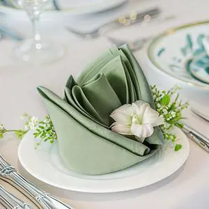 Sage Green Heavy Duty Cloth Napkins Set of 4 - Decorative 17x17 Inch Polyester Napkins with Hemmed Edges, 210GSM, Washable & Reusable for Dinner, Wedding, Party, Banquet & Everyday Use Sage Green Heavy Duty Cloth Napkins Set of 4 - Decorative 17x17 Inch Polyester Napkins with Hemmed Edges, 210GSM, Washable & Reusable for Dinner, Wedding, Party, Banquet & Everyday Use
