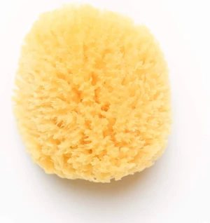 Kyte Baby Natural Sea Sponge Kyte Baby Natural Sea Sponge