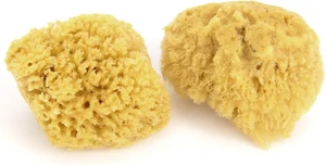 Exfoliating Body Scrub, Neptune Caribbean Sea Sponge Exfoliating Body Scrub, Neptune Caribbean Sea Sponge