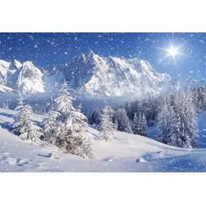 Winter Forest Backdrop Mountain Landscape Background 10x6.5ft | Winter Photography Background Dreamy Flying Snow Scene Snowy Pine Forest Wonderland Backdrop Holiday Photo Studio Props Winter Forest Backdrop Mountain Landscape Background 10x6.5ft | Winter Photography Background Dreamy Flying Snow Scene Snowy Pine Forest Wonderland Backdrop Holiday Photo Studio Props