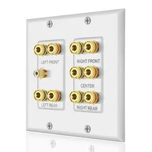 Home Theater 5.1 Surround Sound Distribution Wall Plate | 10 Banana Binding Post Coupler, For 5 Speakers, 1 RCA for Subwoofer Home Theater 5.1 Surround Sound Distribution Wall Plate | 10 Banana Binding Post Coupler, For 5 Speakers, 1 RCA for Subwoofer