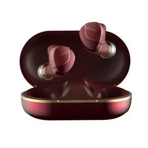TE-W1 Wireless Earbuds, Sound Coaxial 3D System, Adaptive Hybrid Noise Cancelling, High-Resolution Audio, LDAC Technology, Up to 50 Hours Playback, IPX4 Water Resistance (Dark Red) TE-W1 Wireless Earbuds, Sound Coaxial 3D System, Adaptive Hybrid Noise Cancelling, High-Resolution Audio, LDAC Technology, Up to 50 Hours Playback, IPX4 Water Resistance (Dark Red)
