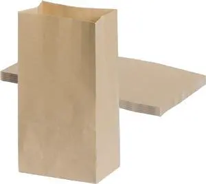 5 Pcs Brown Paper Bags,Bolsas De Papel Para Negocio, 3.1x4.92x9.45in 5 Pcs Brown Paper Bags,Bolsas De Papel Para Negocio, 3.1x4.92x9.45in