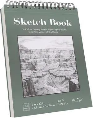 Sketch Book 9x12, 100-Sheet Drawing Paper Pad, 68lb/100gsm, Acid-Free | Top Spiral Sketchbook, Sketch Pads for Drawing, Art Supplies for Kids & Adults, Art Class Gift for Beginners, Artists & Teens Sketch Book 9x12, 100-Sheet Drawing Paper Pad, 68lb/100gsm, Acid-Free | Top Spiral Sketchbook, Sketch Pads for Drawing, Art Supplies for Kids & Adults, Art Class Gift for Beginners, Artists & Teens