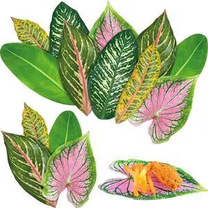 Kisston 100 Pcs Tropical Paper Leaves for Cheese Board 8.7 Inch Parchment Kisston 100 Pcs Tropical Paper Leaves for Cheese Board 8.7 Inch Parchment