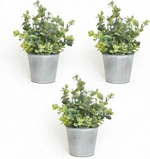 3-Pack Artificial Eucalyptus Plants in White Ribbed Galvanized Metal Pots, Small Fake Greenery Potted Plants for Home Decor, Rustic Farmhouse Table Centerpiece for Kitchen, Bathroom, Bedroom & Office 3-Pack Artificial Eucalyptus Plants in White Ribbed Galvanized Metal Pots, Small Fake Greenery Potted Plants for Home Decor, Rustic Farmhouse Table Centerpiece for Kitchen, Bathroom, Bedroom & Office