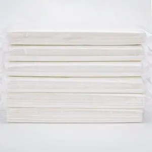 Car Tissue Refills,Facial Napkin Refills for Car Visor tissue holder,300 Sheets, 6 Packs (6 Pack) Car Tissue Refills,Facial Napkin Refills for Car Visor tissue holder,300 Sheets, 6 Packs (6 Pack)