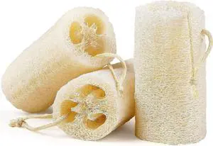 3 Pack Natural Loofah Sponge Exfoliating Body Scrubber 5 Inch 3 Pack Natural Loofah Sponge Exfoliating Body Scrubber 5 Inch